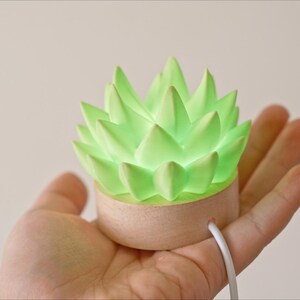 K&ouml;nnte beinhalten: Eine gr&uuml;ne, sukkulentenf&ouml;rmige Lampe mit Holzsockel. Die Lampe, gehalten in einer Hand, strahlt ein sanftes Licht aus. Ideal f&uuml;r die Inneneinrichtung, schafft sie eine beruhigende Atmosph&auml;re.