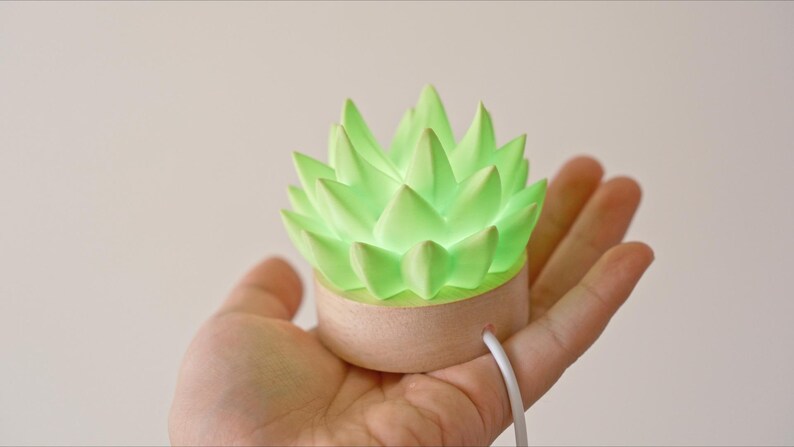 K&ouml;nnte beinhalten: Eine gr&uuml;ne, sukkulentenf&ouml;rmige Lampe mit Holzsockel. Die Lampe, gehalten in einer Hand, strahlt ein sanftes Licht aus. Ideal f&uuml;r die Inneneinrichtung, schafft sie eine beruhigende Atmosph&auml;re.