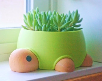 Turtle Planter: Succulent, Cactus, Stationery Organizer