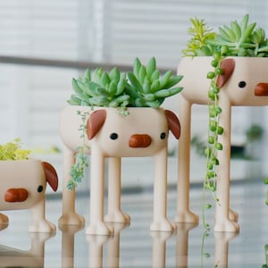 May include: Three white ceramic planters shaped like dogs with brown ears and noses, each holding a different type of succulent plant. The planters have long legs and are arranged in order of size, with the smallest planter in the front and the largest in the back.