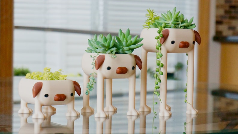 May include: Three white ceramic planters shaped like dogs with brown ears and noses, each holding a different type of succulent plant. The planters have long legs and are arranged in order of size, with the smallest planter in the front and the largest in the back.