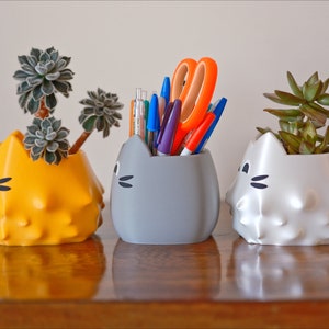 Suspicious Cat Planter: Kawaii Pen & Pencil Holder, Succulent Pot image 5