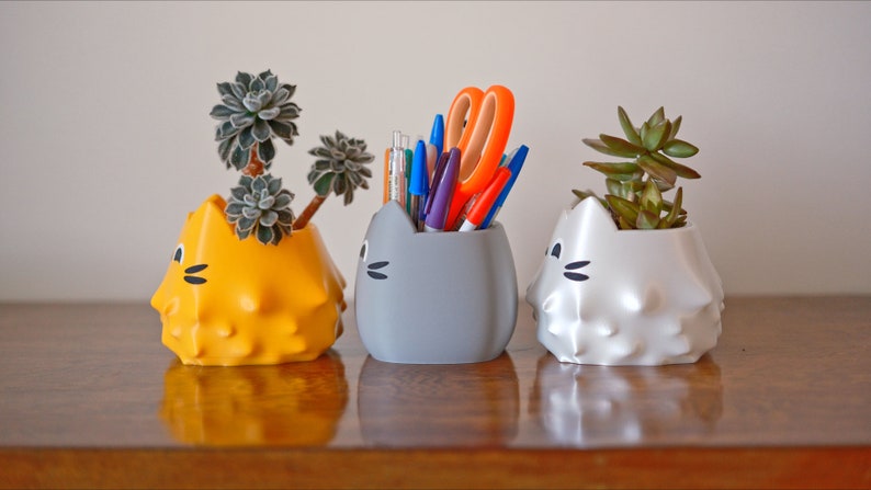 Suspicious Cat Planter: Kawaii Pen & Pencil Holder, Succulent Pot image 5