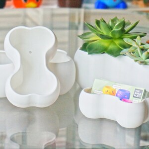 May include: Four white ceramic planters shaped like bones, with two smaller planters and one larger planter. The larger planter has a variety of succulents growing in it.