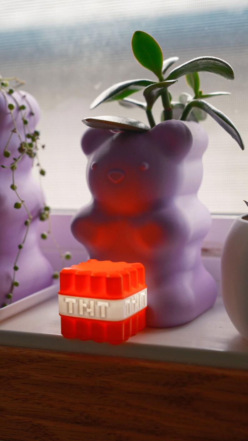 Op de afbeelding: Een paarse keramische berenpot met een groene vetplant erin. De pot staat op een vensterbank naast een rood en wit blokje met het woord "TNT" erop.