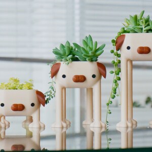 May include: Three white ceramic planters shaped like dogs with brown ears and noses. Each planter has a different size and holds a variety of green succulents.