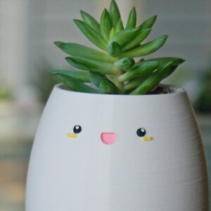 May include: A white ceramic planter with a happy face painted on it. The planter has a small succulent plant growing inside.