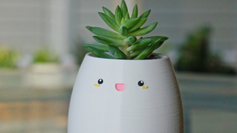 May include: A white ceramic planter with a happy face painted on it. The planter has a small succulent plant growing inside.