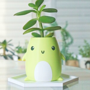 Puede incluir: Un macetero de ping&uuml;ino verde y blanco de dibujos animados con una planta suculenta que crece desde la parte superior. El macetero tiene una base blanca y una bandeja hexagonal blanca.