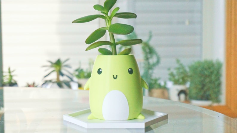 Puede incluir: Un macetero de ping&uuml;ino verde y blanco de dibujos animados con una planta suculenta que crece desde la parte superior. El macetero tiene una base blanca y una bandeja hexagonal blanca.