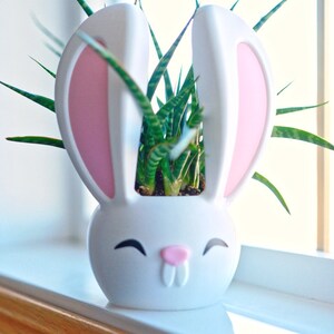 May include: A white ceramic bunny planter with pink ears and a painted face, holding a green succulent plant.