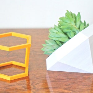 May include: Two geometric planters, one a white diamond shape and the other a yellow hexagonal frame. The diamond planter has a succulent plant growing inside.