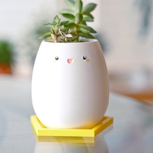 Op de afbeelding: Een witte keramische pot met een vrolijk gezicht en gele ogen, met een kleine groene succulent erin. De pot staat op een gele zeshoekige basis.