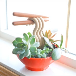 May include: A whimsical succulent arrangement in a bright orange bowl, featuring a beige noodle sculpture and wooden chopsticks. The bowl is filled with various green succulents and sits on a white windowsill.