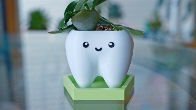 May include: A white ceramic planter shaped like a tooth with a happy face, holding a small green succulent plant. The planter sits on a light green hexagonal base.