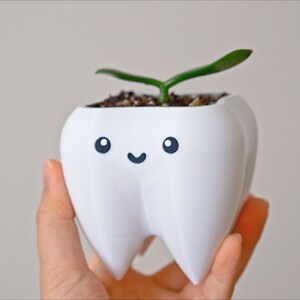 Puede incluir: Una maceta blanca con forma de diente con una cara sonriente, que contiene tierra y una peque&ntilde;a planta verde. La maceta se sostiene en una mano sobre un fondo liso. Un art&iacute;culo decorativo &uacute;nico.
