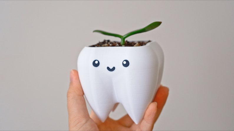 Puede incluir: Una maceta blanca con forma de diente con una cara sonriente, que contiene tierra y una peque&ntilde;a planta verde. La maceta se sostiene en una mano sobre un fondo liso. Un art&iacute;culo decorativo &uacute;nico.