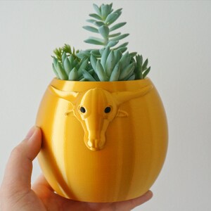 Puede incluir: Una maceta de cer&aacute;mica dorada con forma de cabeza de toro, con una planta suculenta creciendo en su interior.