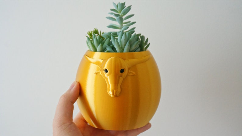 Puede incluir: Una maceta de cer&aacute;mica dorada con forma de cabeza de toro, con una planta suculenta creciendo en su interior.