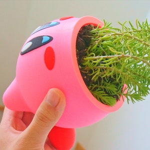 May include: A pink 3D printed planter shaped like a cartoon character with a green succulent plant growing out of the top.