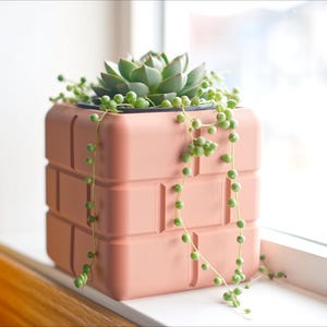 Pu&ograve; includere: Un vaso da fiori rosa a forma di mattone con una pianta succulenta e una catena di perle verdi pendenti.