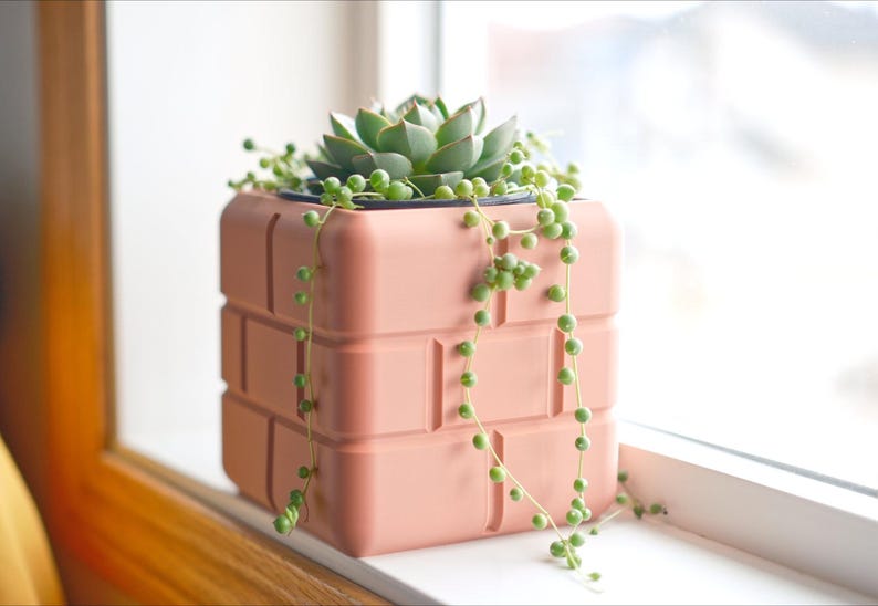 Pu&ograve; includere: Un vaso da fiori rosa a forma di mattone con una pianta succulenta e una catena di perle verdi pendenti.
