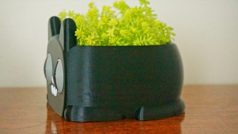 Pode incluir: Um vaso preto impresso em 3D com a forma de um animal de desenho animado com olhos grandes e boca larga. O vaso est&aacute; cheio de suculentas verdes.