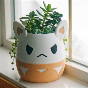 May include: White ceramic planter shaped like a cartoon animal with angry eyebrows and a frown. The planter has pink heart-shaped ears and a light orange bottom. The planter is filled with green succulents.