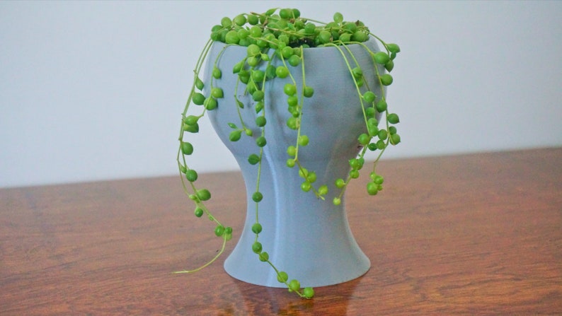 May include: A light blue ceramic planter with a round top and a wide base, filled with a green string of pearls plant.