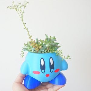 Puede incluir: Una maceta de personaje de dibujos animados azul y rosa con una flor blanca y suculentas verdes que crecen dentro.