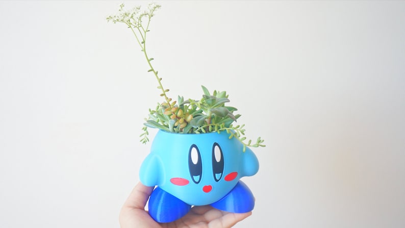 Puede incluir: Una maceta de personaje de dibujos animados azul y rosa con una flor blanca y suculentas verdes que crecen dentro.