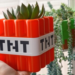 May include: A bright orange and white Minecraft-themed planter with the text "TNT" on the front. The planter is holding a small green succulent plant.