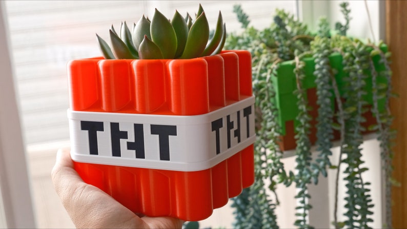 May include: A bright orange and white Minecraft-themed planter with the text "TNT" on the front. The planter is holding a small green succulent plant.