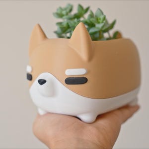 May include: A brown and white ceramic planter shaped like a dog with a small succulent plant growing inside.