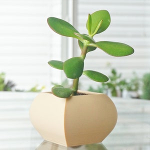 May include: A small jade plant in a beige, geometric-shaped pot. The plant has vibrant green, oval-shaped leaves and a thick, green stem. The pot sits on a reflective surface, with a window and greenery visible in the background.