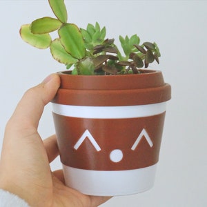 May include: A brown and white ceramic planter with a cute cartoon face, featuring two white triangles for eyes and a white circle for a nose. The planter is filled with green succulents.