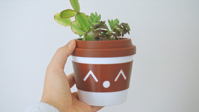 May include: A brown and white ceramic planter with a cute cartoon face, featuring two white triangles for eyes and a white circle for a nose. The planter is filled with green succulents.