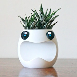 Maceta suculenta con cara gritando: divertido portabolígrafos de escritorio