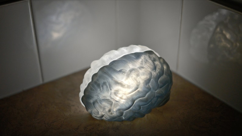 May include: A gray and white brain-shaped lamp with a light inside. The lamp is sitting on a brown surface.