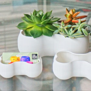 May include: Three white ceramic planters in different shapes, with two succulents and a card with the text "The Build Plate" in the middle planter.