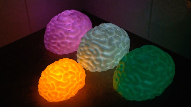May include: Five glowing brain-shaped decorative lights in various colors: purple, white, orange, and green. The lights are on a dark surface, creating a vibrant and eye-catching display. These unique lights are perfect for adding a touch of creativity to any space.
