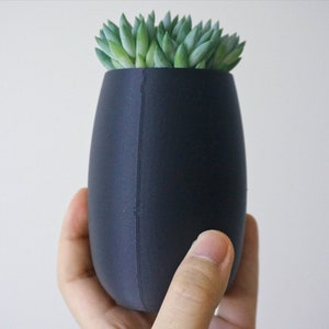 May include: A dark gray, oval-shaped planter holding a green succulent plant. The planter is held in a hand against a white background. The planter is approximately 5 inches tall.