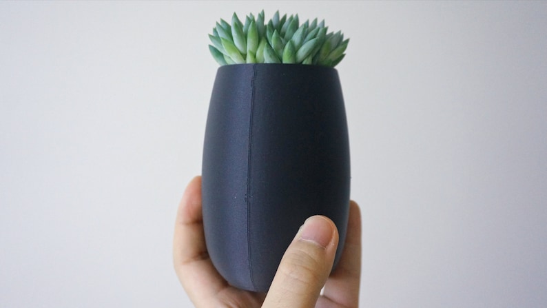 May include: A dark gray, oval-shaped planter holding a green succulent plant. The planter is held in a hand against a white background. The planter is approximately 5 inches tall.