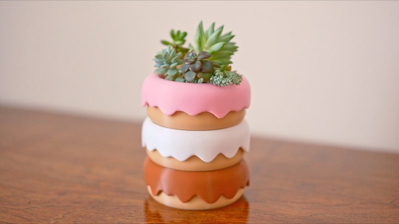Puede incluir: Un conjunto de tres macetas con forma de donut en rosa, blanco y marr&oacute;n con una planta suculenta verde que crece en la maceta superior.