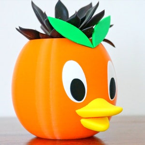 May include: Orange ceramic planter shaped like a duck with a green succulent plant inside.