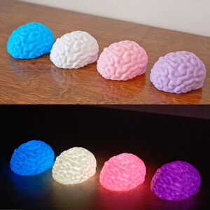 May include: Five brain-shaped night lights in different colors: blue, white, pink, purple, and light blue. The lights are arranged in a row on a wooden surface.