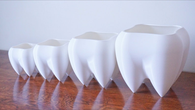 Puede incluir: Un conjunto de cinco macetas de cer&aacute;mica blanca con forma de dientes. Las macetas est&aacute;n dispuestas en fila, disminuyendo de tama&ntilde;o de derecha a izquierda. El acabado liso y brillante refleja la luz, creando una est&eacute;tica limpia y moderna.