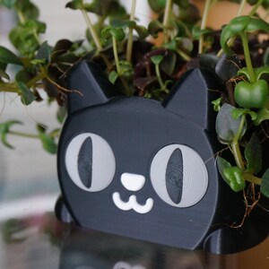 Pode incluir: Um vaso preto em forma de gato com olhos brancos e uma boca sorridente. O vaso est&aacute; cheio de plantas verdes de folha.