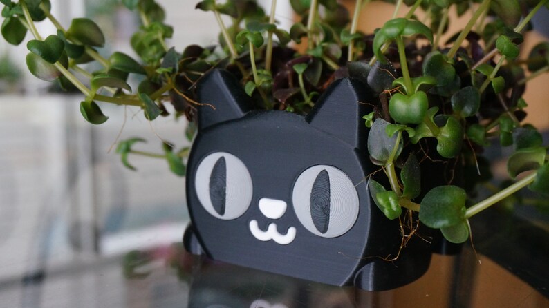 Pode incluir: Um vaso preto em forma de gato com olhos brancos e uma boca sorridente. O vaso est&aacute; cheio de plantas verdes de folha.