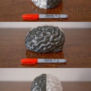 May include: A 3D printed model of a human brain, painted half white and half gray. The model is sitting on a wooden surface with a red and gray marker next to it. The words "Left side" and "Right side" are written above the model.